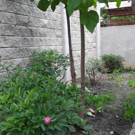 Guest House Odessa Rom bilde